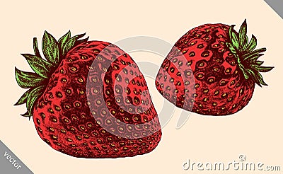 Engrave strawberry hand drawn graphic vector illustration Vector Illustration