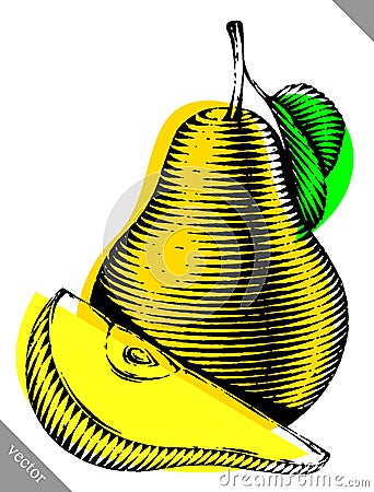 Engraved isolated engrave vector illustration of a pear Vector Illustration
