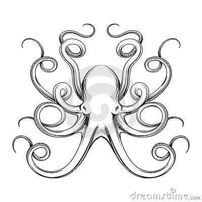 Engraved octopus vector icon Vector Illustration