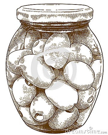 Engraving illustration of olives bottle Vector Illustration