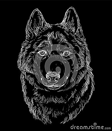 Engraving illustration of a Syberian Husky dog on a black background Vector Illustration