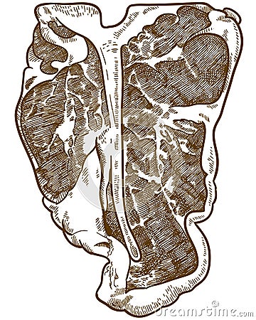 Engraving illustration of T-bone steak Vector Illustration