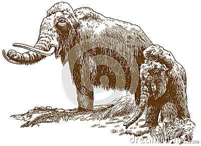Engraving illustration of two woolly mammoths Vector Illustration