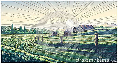 Rural landscape with dawn in village Vector Illustration