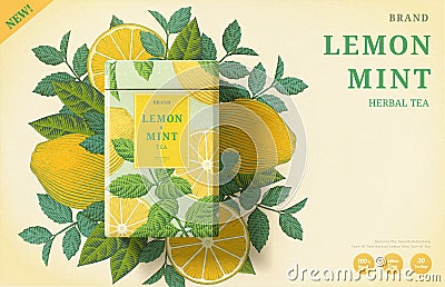 Engraving lemon mint tea ads Vector Illustration