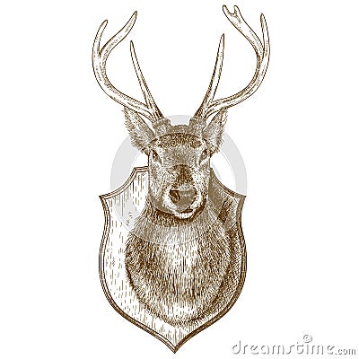 Engraving stuffed reindeer head on white background Vector Illustration