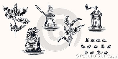 set of Engraving coffee illustration premium Vector Illustration