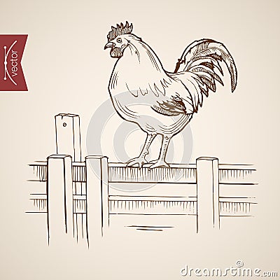 Engraving vintage hand drawn vector fence Ske Vector Illustration