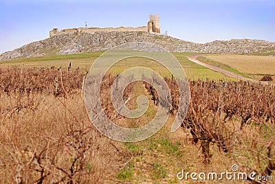 Enisala fortress and vineyards Stock Photo