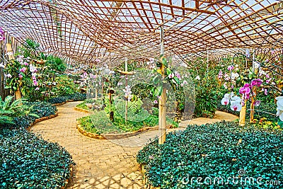 Orchid department of Mae Fah Luang garden, Doi Tung, Thailand Stock Photo