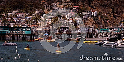 Enjoy Catalina Island CA USA Editorial Stock Photo