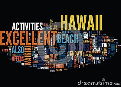 Enjoy Excellent Beaches In Hawaii Text Background Word Cloud Concept Stock Photo