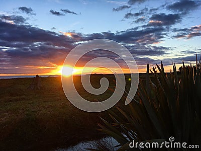 Sunset near the Ocean, New Zealand Stock Photo