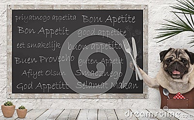 Enjoy your meal - blackboard with good appetite in multiple languages with happy smiling pug puppy dog with fork and knife cutlery Stock Photo