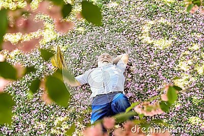 Enjoying spring day. daydreaming. Happy smiling senior man looking up lying. old man imagining good things to realize Stock Photo