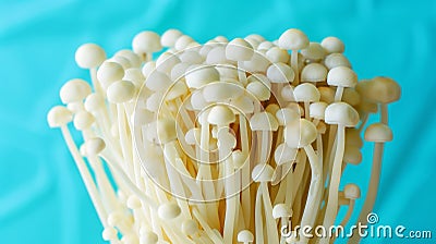 Enoki mushroom flammulina velutipes on soft pastel colored background for delicate aesthetics Stock Photo