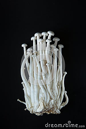 Enoki mushrooms on a black background Stock Photo