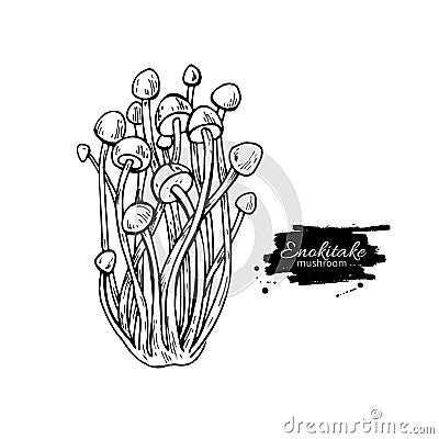 Enokitake mushroom hand drawn vector illustration. Sketch food Vector Illustration