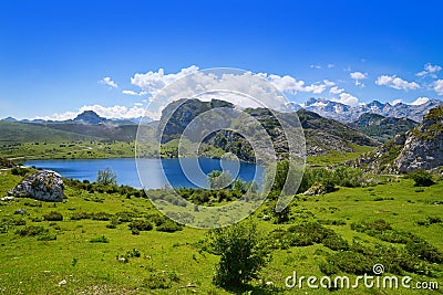 Enol lake at Picos de Europa in Asturias Spain Stock Photo