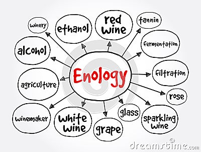 Enology mind map, concept for presentations and reports Stock Photo