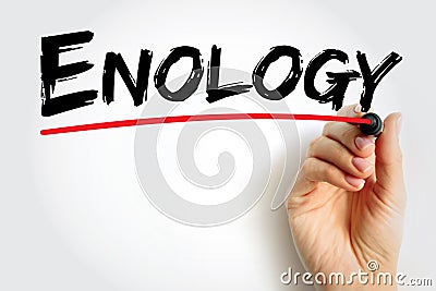 Enology is the science and study of wine and winemaking, text concept background Stock Photo