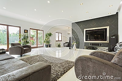 Enormous living room in expensive house Stock Photo