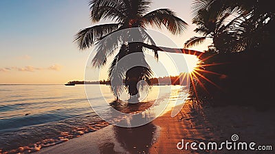 Enregistrement vid?o a?rien de plage tropicale des Cara?bes avec les palmiers et le sable blanc Course et vacances banque de vidéos Enregistrement vid?o a?rien de plage tropicale des Cara?bes avec les palmiers et le sable blanc Course et vacances banque de vidéos