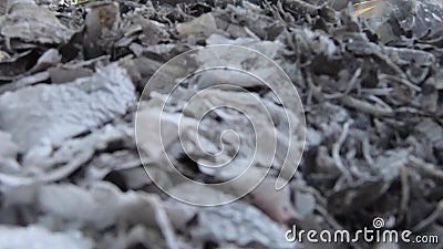 Enregistrement vidéo, déchets brûlants et fumée Le vent violent se lève fumée toxique des déchets brûlants dans l'air et écarte clips vidéos Enregistrement vidéo, déchets brûlants et fumée Le vent violent se lève fumée toxique des déchets brûlants dans l'air et écarte clips vidéos