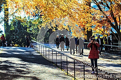 Enryaku-ji is a Tendai monastery located on Mount Hiei in Otsu, Editorial Stock Photo