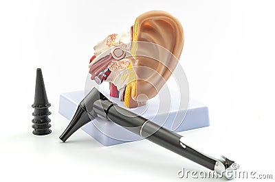 ENT or otolaryngology appointment, deafness prevention and hearing organ health concept with anatomical ear model and medical Stock Photo