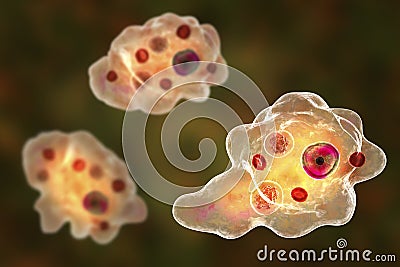 Entamoeba gingivalis protozoan Cartoon Illustration