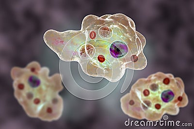 Entamoeba gingivalis protozoan Cartoon Illustration