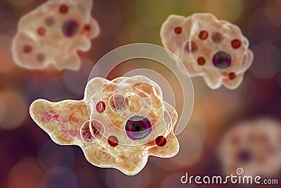 Entamoeba gingivalis protozoan Cartoon Illustration