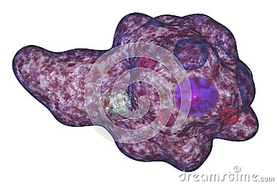 Entamoeba gingivalis protozoan Cartoon Illustration