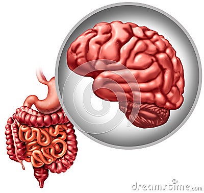 Enteric Nervous System Cartoon Illustration