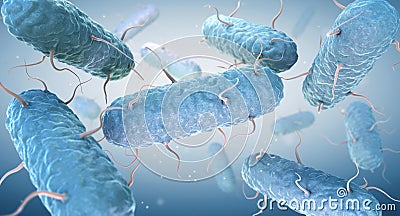 Enterobacteria. Enterobacteriaceae are a large family of Gram-negative bacteria Cartoon Illustration