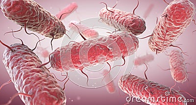 Enterobacteria. Enterobacteriaceae are a large family of Gram-negative bacteria Cartoon Illustration