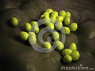 The enterococcus - close up Cartoon Illustration