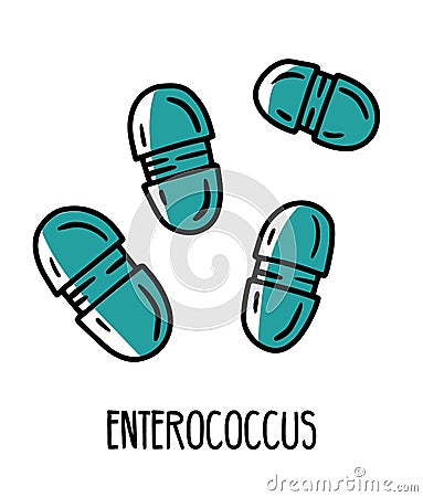 Enterococcus lactic acid pathogen bacteria in the human intestinal microflora Vector Illustration