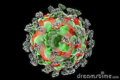 Enterovirus with attached integrin molecules Cartoon Illustration