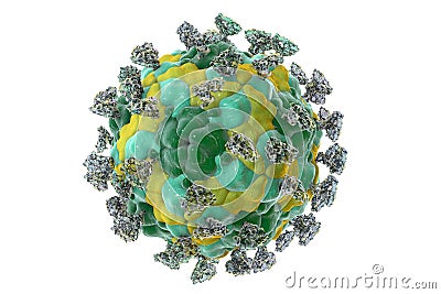 Enterovirus with attached integrin molecules Cartoon Illustration