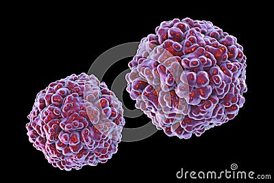 Enteroviruses, a group of RNA-viruses including Echoviruses, Coxsackieviruses, Rhinoviruses and other Cartoon Illustration