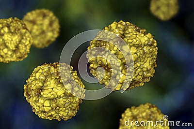 Enteroviruses, a group of RNA-viruses including Echoviruses, Coxsackieviruses, Rhinoviruses and other Cartoon Illustration