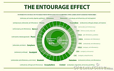 The Entourage Effect Proportion horizontal infographic Cartoon Illustration