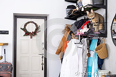 An entrance hall with outerwear on a hanger, a pet cat sitting in a basket on a shelf for hats. Mess in the hall. The front door Stock Photo