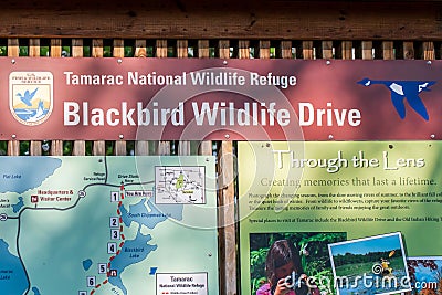 An entrance road going in Tamarac National Wildlife Refuge, Minnesota Editorial Stock Photo