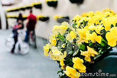 Entrance Of Ataturk`s Moving Kiosk In Yalova - Turkey Editorial Stock Photo