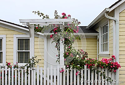 Entrance to cheery yellow wood house with white picket fence and a gate with an arbor with wild roses growing up and over it Stock Photo