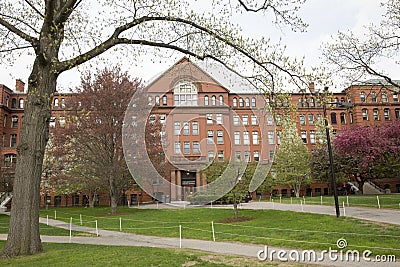 Entrance to the Harvard Museum of Natural History in Cambridge, MA, USA Stock Photo