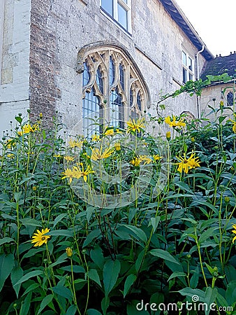 A view of a medieval priory in Suffolk, UK. Stock Photo